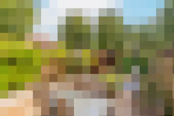 Augustusweg 49 De Meern thumbnail 21