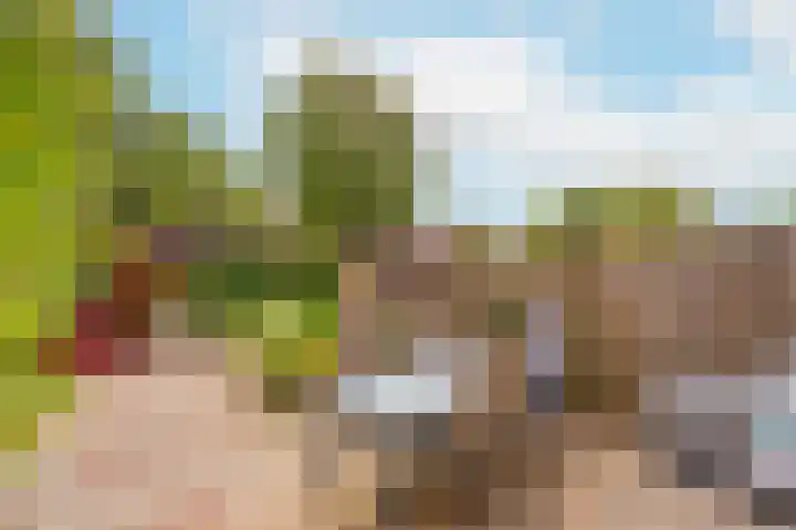 Augustusweg 49 De Meern thumbnail 22