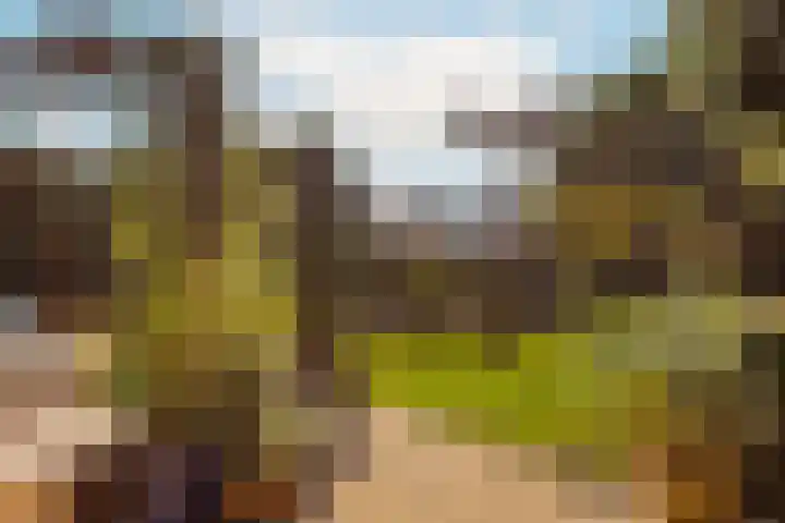 Augustusweg 58 De Meern thumbnail 18