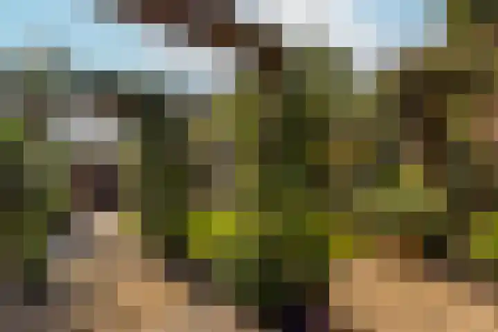 Augustusweg 58 De Meern thumbnail 19