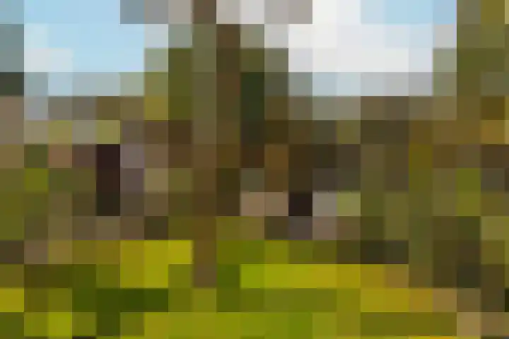 Augustusweg 58 De Meern thumbnail 20