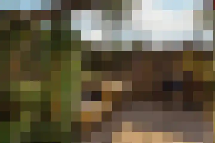 Augustusweg 58 De Meern thumbnail 21