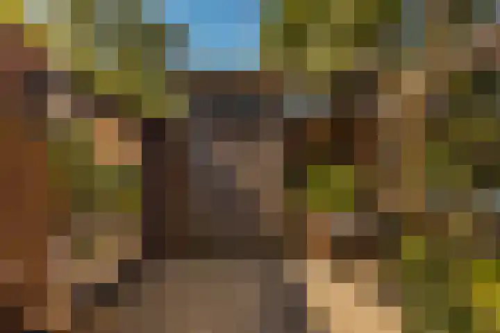 Augustusweg 58 De Meern thumbnail 22