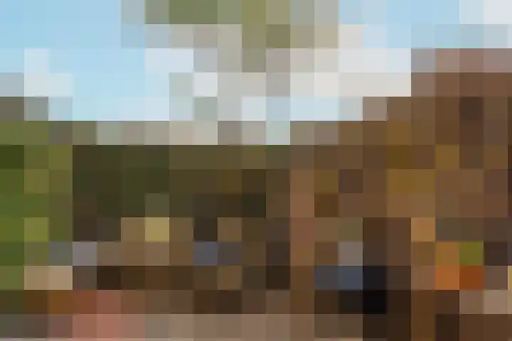 Augustusweg 58 De Meern thumbnail 23