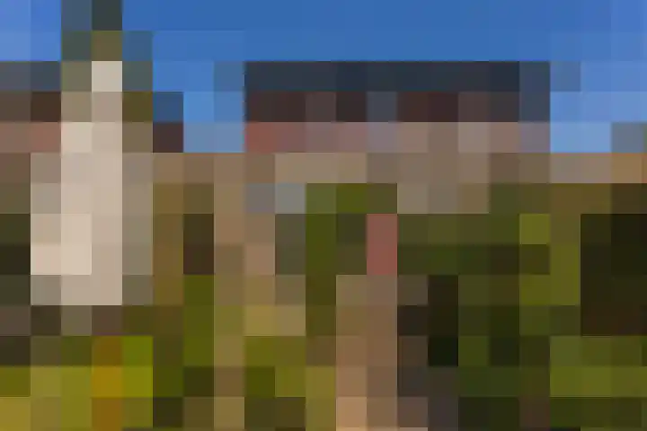 Augustusweg 58 De Meern thumbnail 24