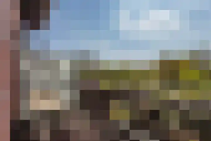 Augustusweg 58 De Meern thumbnail 40