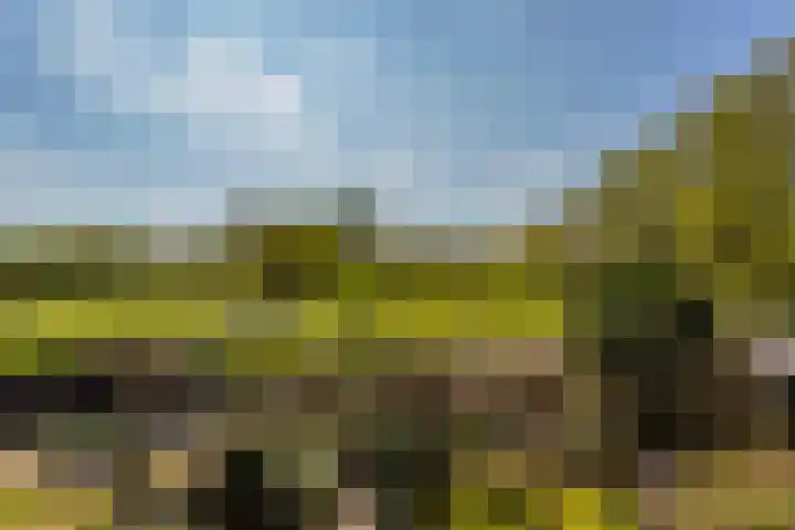 Augustusweg 58 De Meern thumbnail 41