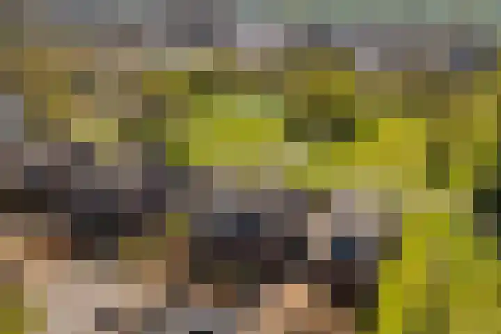 Augustusweg 58 De Meern thumbnail 50