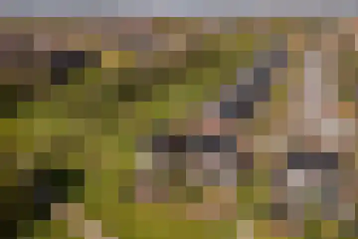 Augustusweg 58 De Meern thumbnail 53