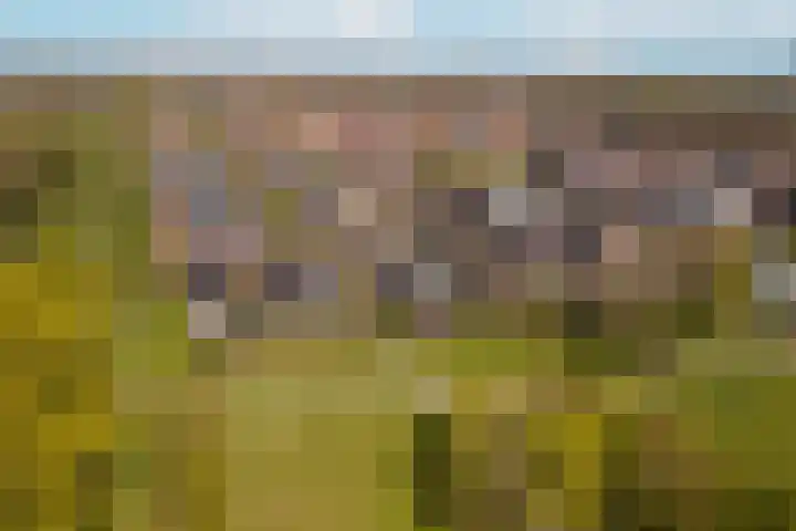 Augustusweg 58 De Meern thumbnail 54