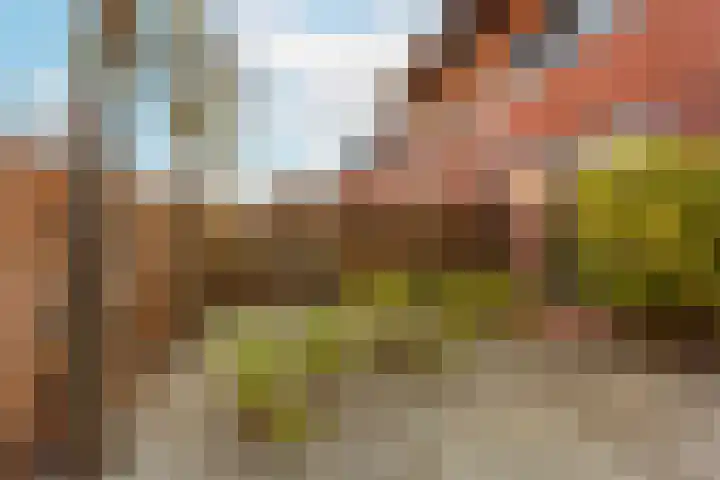 Augustusweg 58 De Meern thumbnail 56