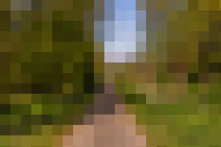 Augustusweg 58 De Meern thumbnail 62