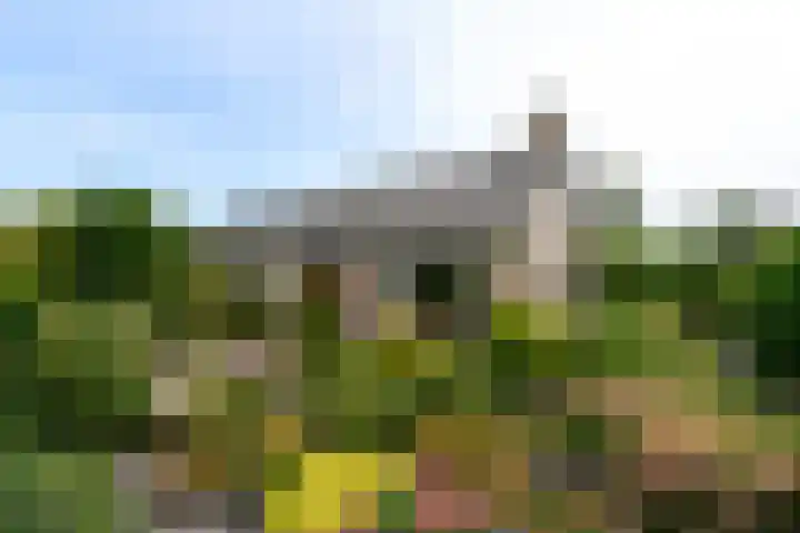 Aukebaes 6 in Joure
