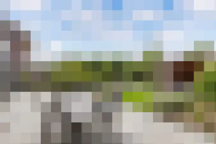 Aurelia 6 Wolvega thumbnail 39