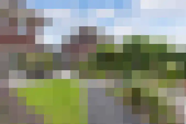 Aurelia 6 Wolvega thumbnail 44