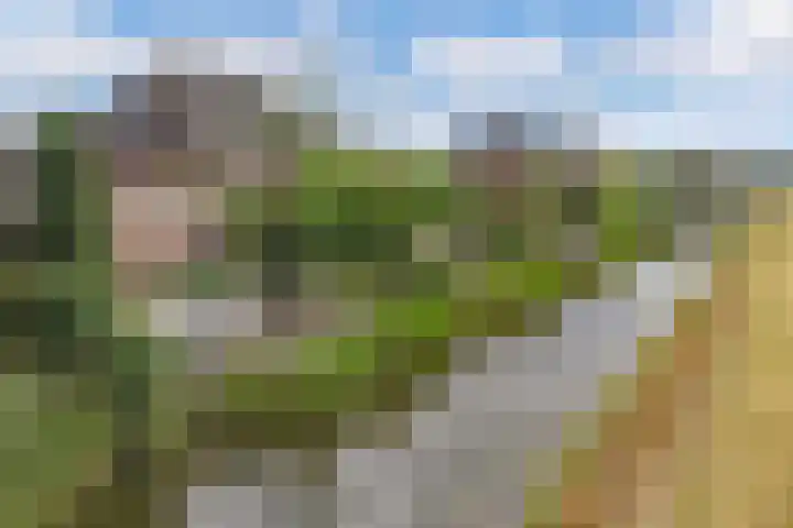 Aurelia 6 Wolvega thumbnail 5