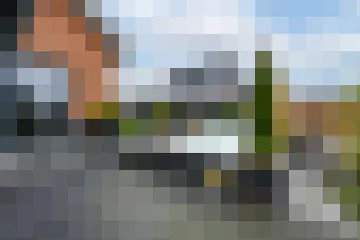 Aurelia 66 Wolvega thumbnail 38