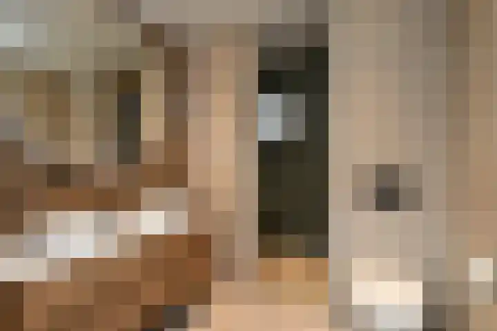 Aureus 103 Elst thumbnail 4