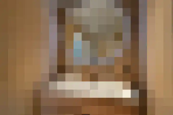 Aureus 103 Elst thumbnail 41