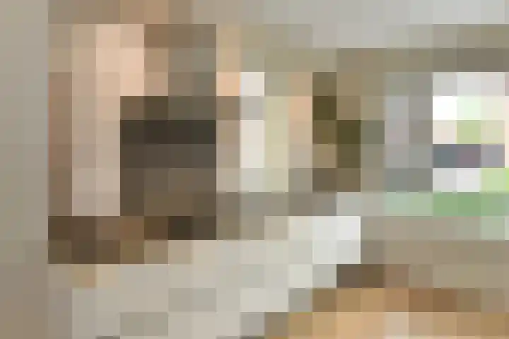 Aureus 26 Elst thumbnail 13