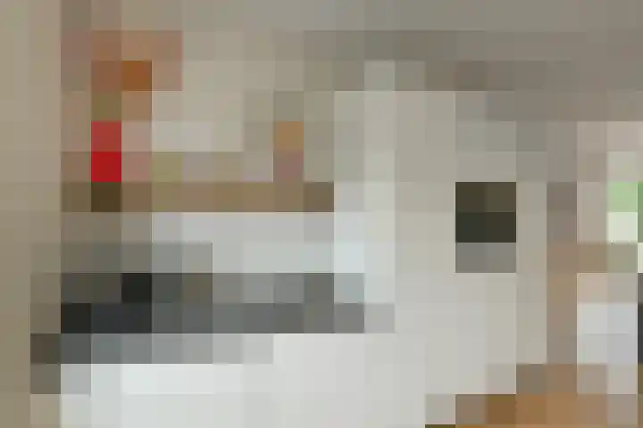 Aureus 26 Elst thumbnail 15
