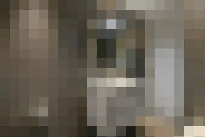 Aureus 26 Elst thumbnail 25