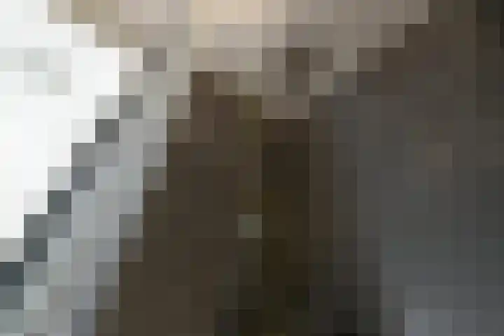 Aureus 26 Elst thumbnail 27