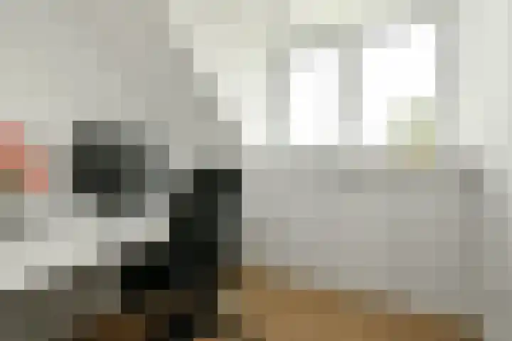 Aureus 26 Elst thumbnail 33