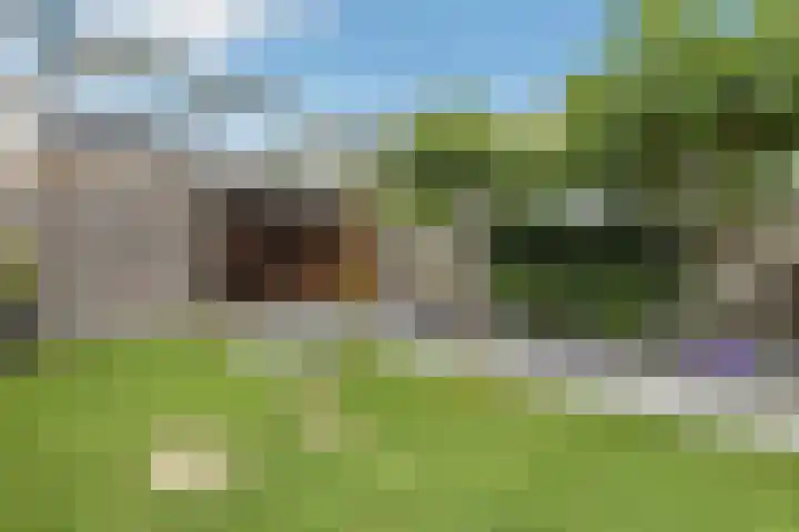 Aureus 26 Elst thumbnail 38