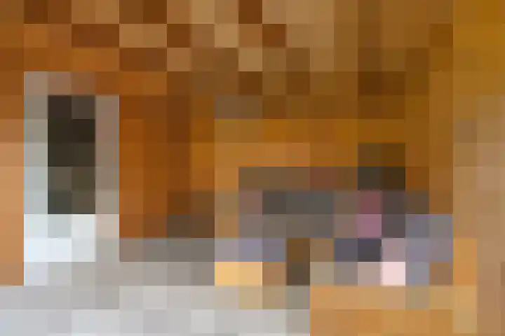 Aureus 26 Elst thumbnail 40