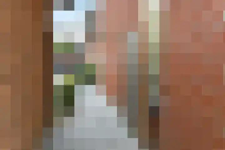 Aureus 26 Elst thumbnail 43