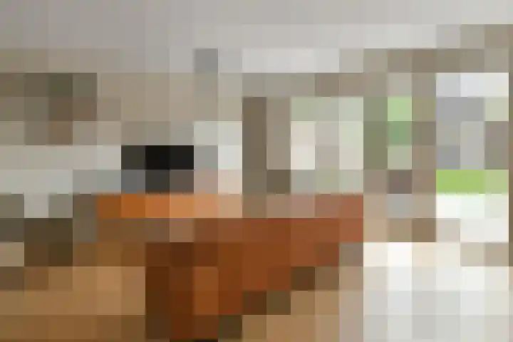 Aureus 26 Elst thumbnail 6