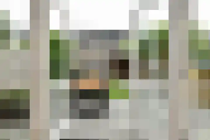 Aureus 26 Elst thumbnail 8