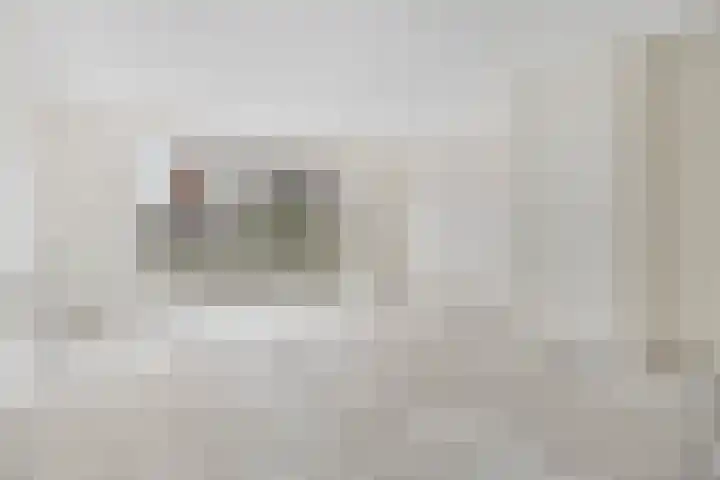 Aureus 46 Elst thumbnail 14