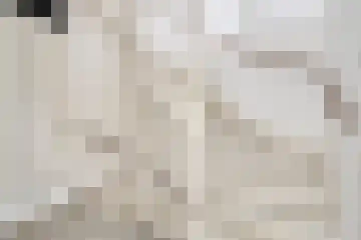 Aureus 46 Elst thumbnail 35