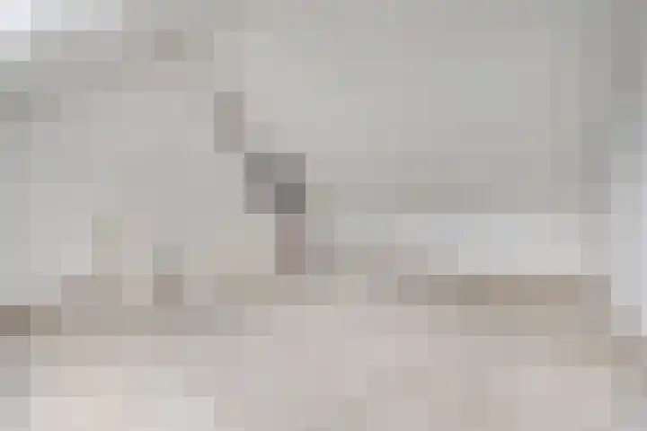 Aureus 46 Elst thumbnail 36