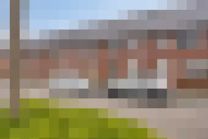 Aureus 46 Elst thumbnail 4