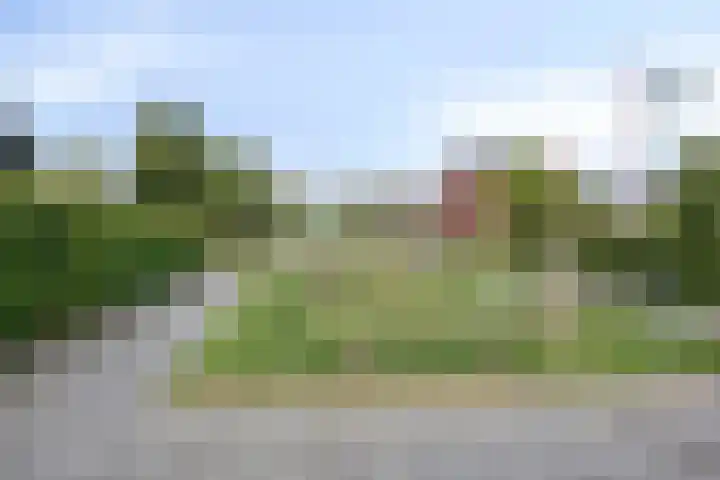 Aureus 46 Elst thumbnail 40