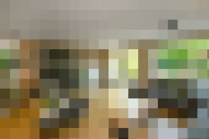 Aureus 80 Elst thumbnail 12