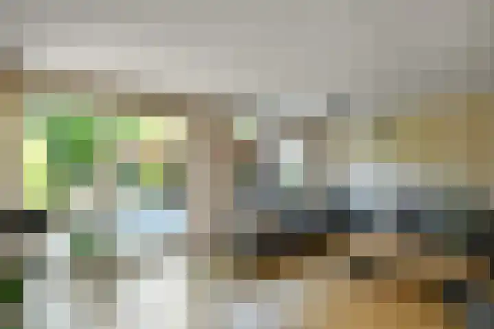 Aureus 80 Elst thumbnail 13