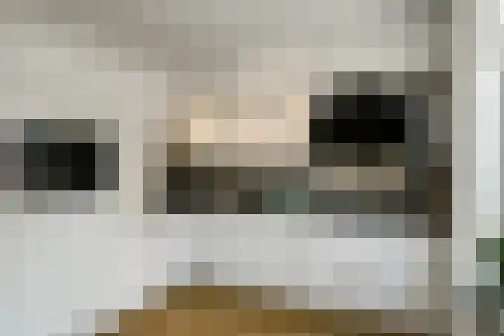 Aureus 80 Elst thumbnail 18