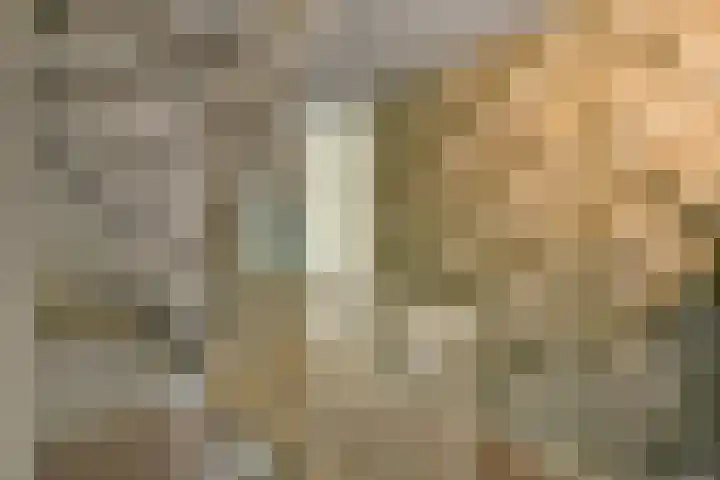 Aureus 80 Elst thumbnail 22
