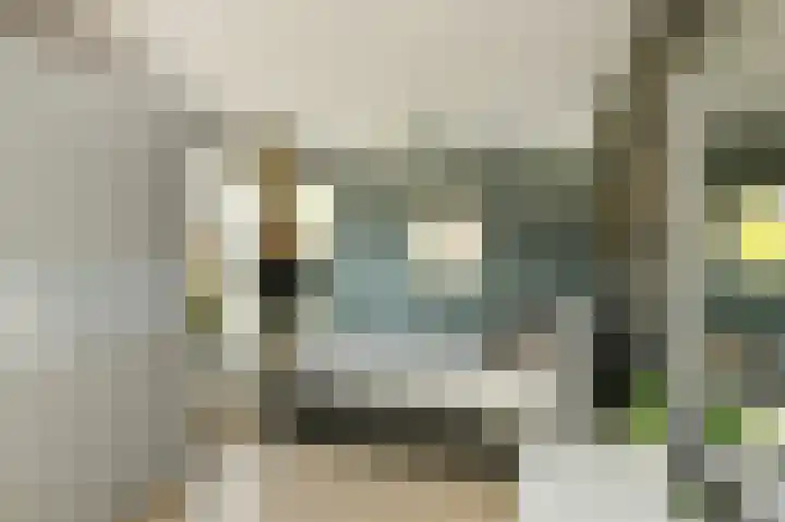 Aureus 80 Elst thumbnail 24