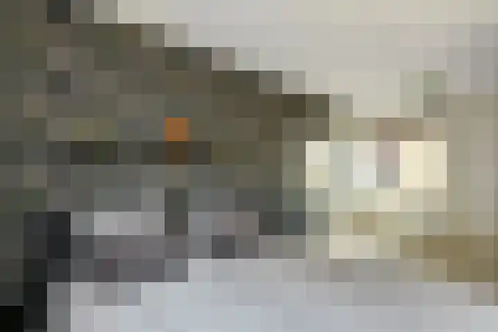 Aureus 80 Elst thumbnail 26
