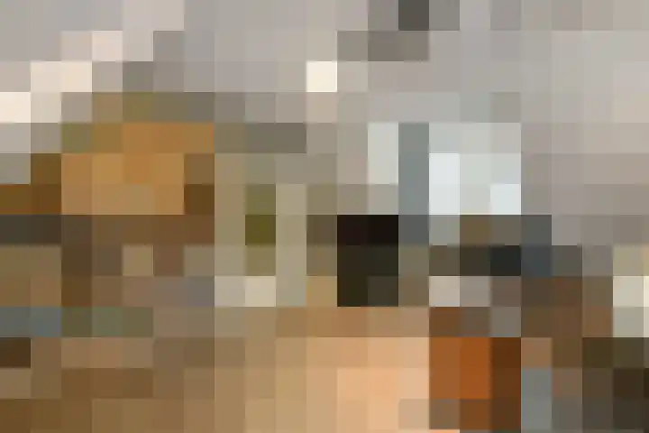 Aureus 80 Elst thumbnail 39