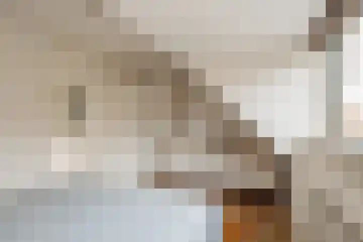 Aurikelstraat 77 Amsterdam thumbnail 16