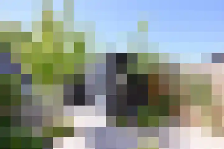 Auronde 4 Deventer thumbnail 29