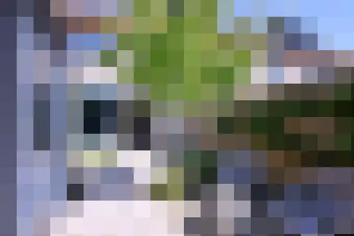 Auronde 4 Deventer thumbnail 30
