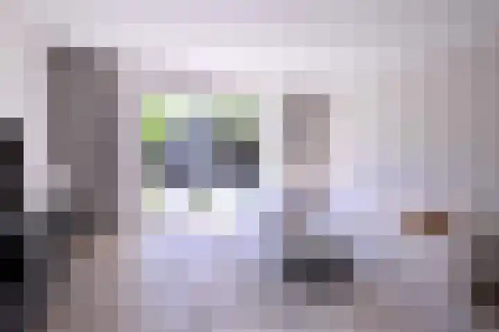 Auronde 4 Deventer thumbnail 4
