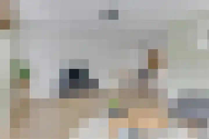 Aurora 8 Opmeer thumbnail 10